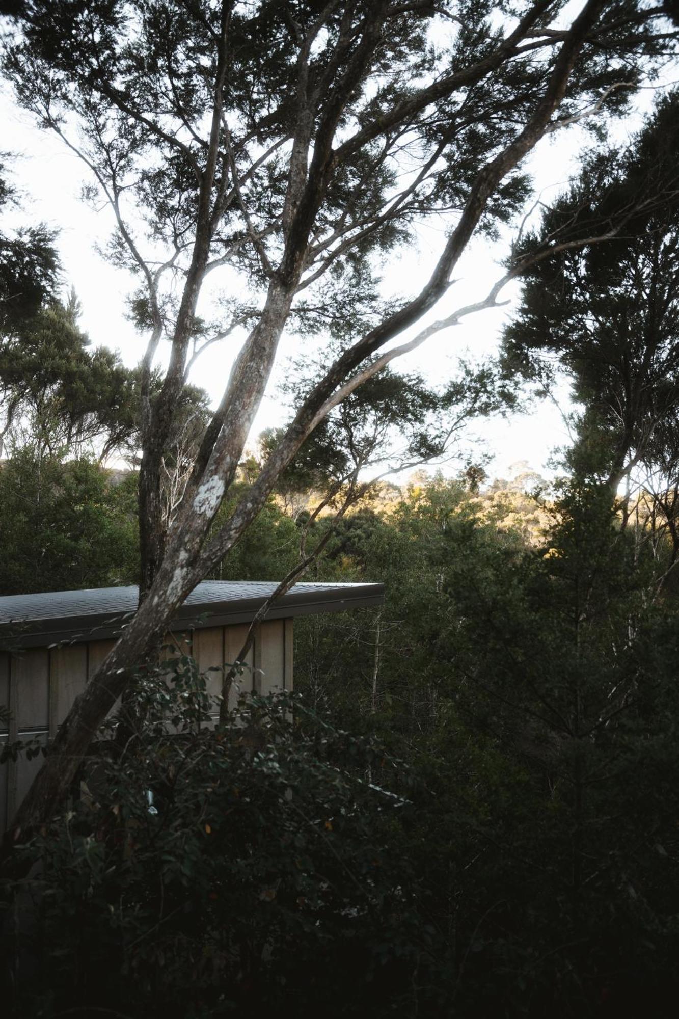 Treehouse Hideaway At Rekindle Tree Houses Opua Extérieur photo